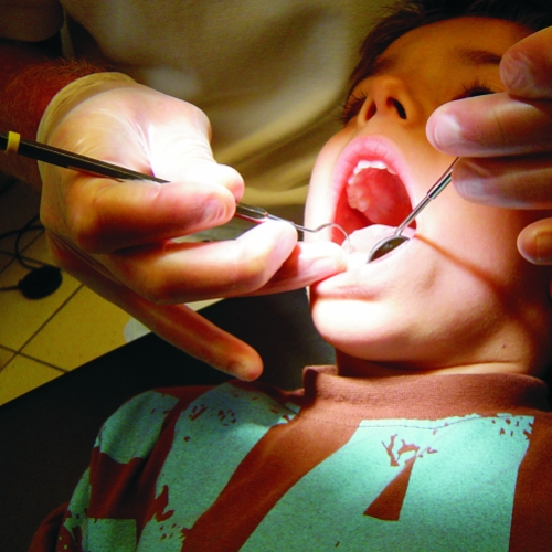 Biocibernética Bucal ou Odontologia Sistêmica